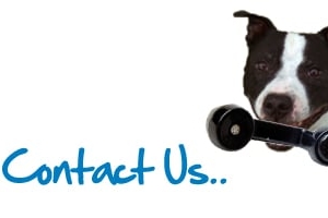 Photo of Courteous Carpet Cleaning