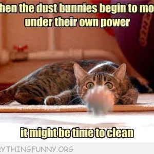 Photo of Courteous Carpet Cleaning