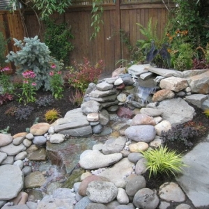 Photo of Human Nature Landscape Design & Consulting