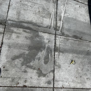 Photo of Sal Deguarda Concrete