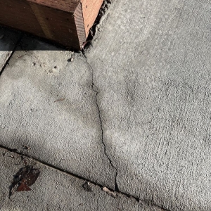 Photo of Sal Deguarda Concrete