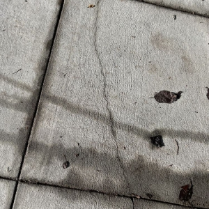 Photo of Sal Deguarda Concrete