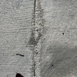 Photo of Sal Deguarda Concrete