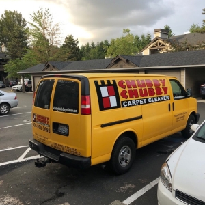Photo of Chubby Chubby Carpet Cleaner