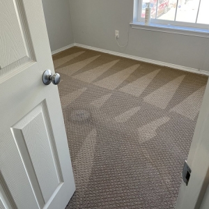 Photo of Chubby Chubby Carpet Cleaner