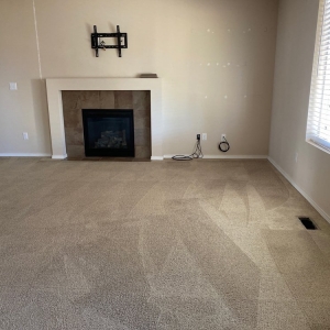 Photo of Chubby Chubby Carpet Cleaner