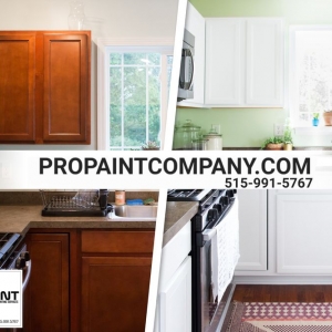 Photo of Pro Paint