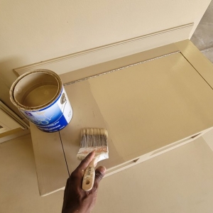 Photo of Pro Paint