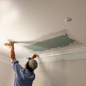 Photo of R-Plumber
