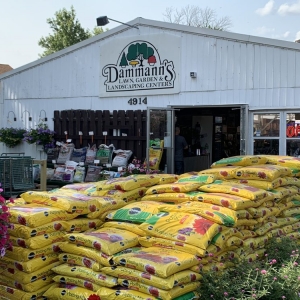 Photo of Dammann's Garden Center & Greenhouse
