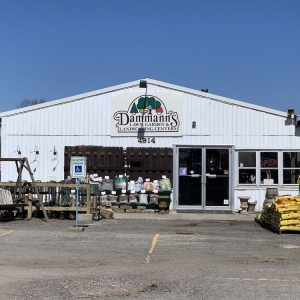 Photo of Dammann's Garden Center & Greenhouse
