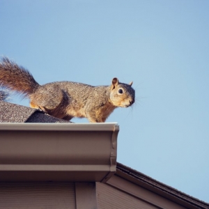 Photo of Shield Roofing and Energy
