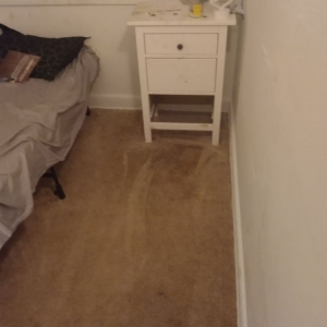 Photo of Clean It Up Cleaning Services