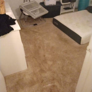 Photo of Clean It Up Cleaning Services