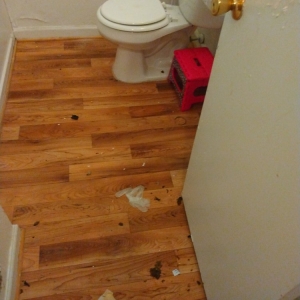 Photo of Clean It Up Cleaning Services
