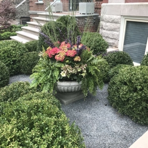 Photo of Botanical Concepts Chicago