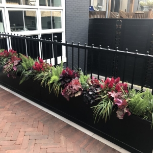 Photo of Botanical Concepts Chicago