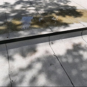 Photo of Champion Roofing Services