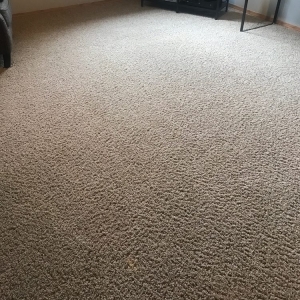 Vancouver Linton's Carpet Cleaning