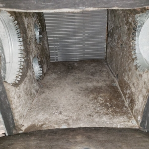 Photo of Lone Star Pro Services