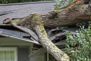 Photo of Ron Russell Roofing