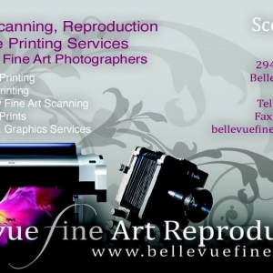 Photo of Bellevue Fine Art Reproduction