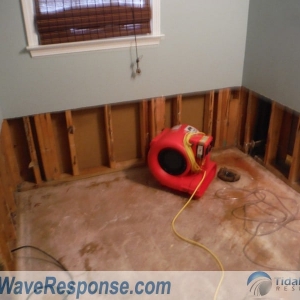 Photo of Tidal Wave Response
