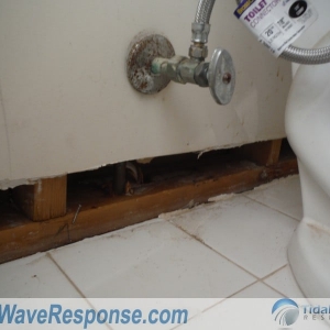 Photo of Tidal Wave Response