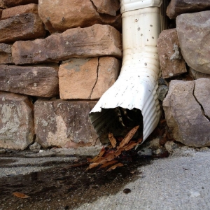 Photo of Northern Virginia Gutter Cleaning