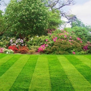 Photo of Nava Landscapes