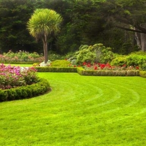 Photo of Nava Landscapes