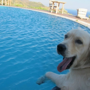 Photo of 4M Pools