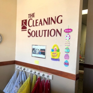 Photo of The Cleaning Solution