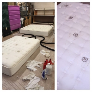 Photo of Abdul Halim Carpet and Upholstery Cleaning