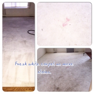 Photo of Abdul Halim Carpet and Upholstery Cleaning