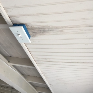 Photo of True Roof