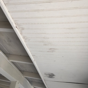 Photo of True Roof