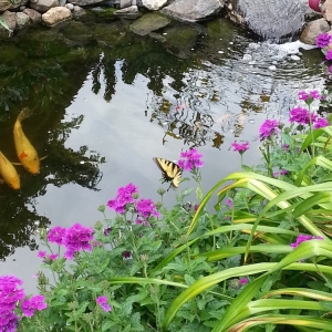 Photo of Pleasant View Gardens Inc