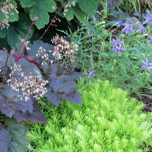 Photo of Pleasant View Gardens Inc