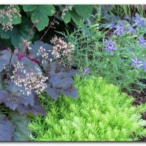 Photo of Pleasant View Gardens Inc