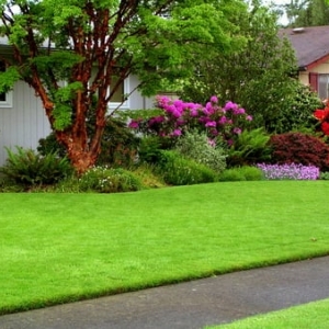 Photo of Joey's Lawn Mowing
