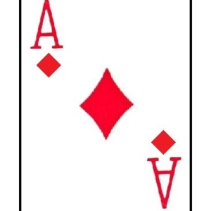 Photo of The ACE Group