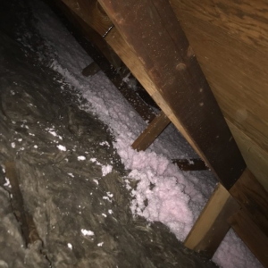 Photo of Insulation For Bay Area