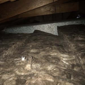 Photo of Insulation For Bay Area