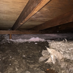 Photo of Insulation For Bay Area