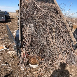 Photo of Grange Hauling