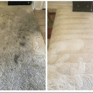 Photo of Benjamin's Carpet & Air Duct Cleaning - Phoenix