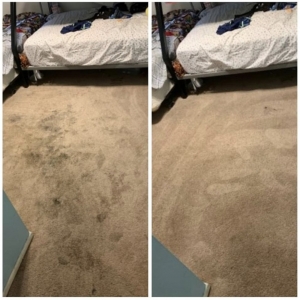 Photo of Benjamin's Carpet & Air Duct Cleaning - Phoenix
