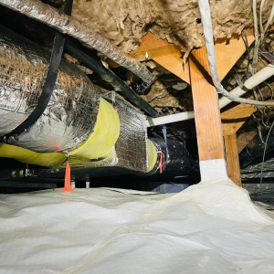 Photo of Super Attic Solutions