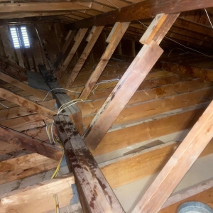 Photo of Super Attic Solutions